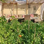 La Flor Azul Bed and Breakfast