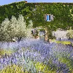 La Flor Azul Bed and Breakfast Grospierres