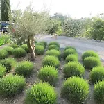 La Flor Azul Grospierres