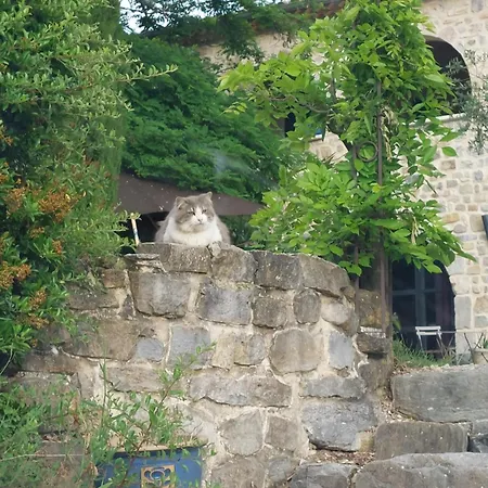 Bed and breakfast La Flor Azul 3*