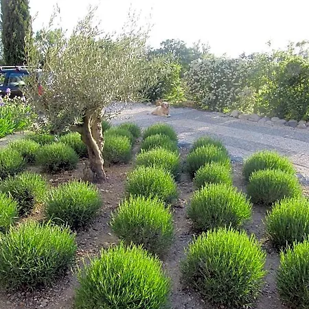 Nocleg ze śniadaniem La Flor Azul Grospierres