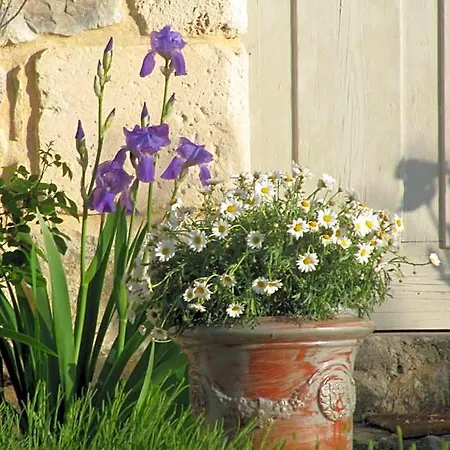 La Flor Azul Nocleg ze śniadaniem Grospierres