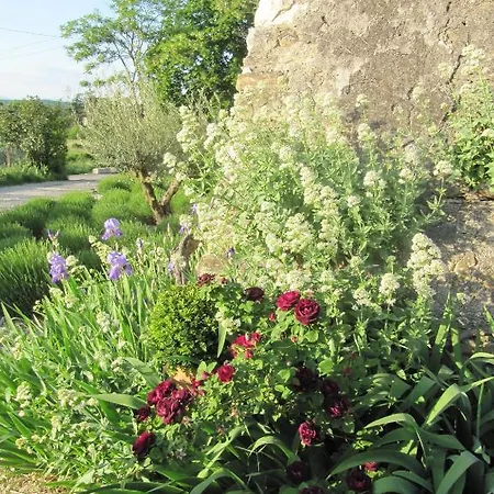 Bed and breakfast La Flor Azul