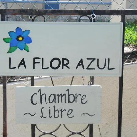 La Flor Azul