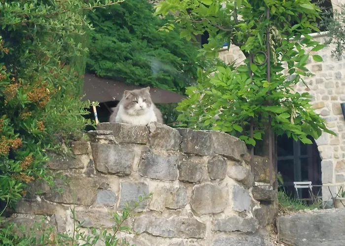 Bed & Breakfast La Flor Azul 3*
